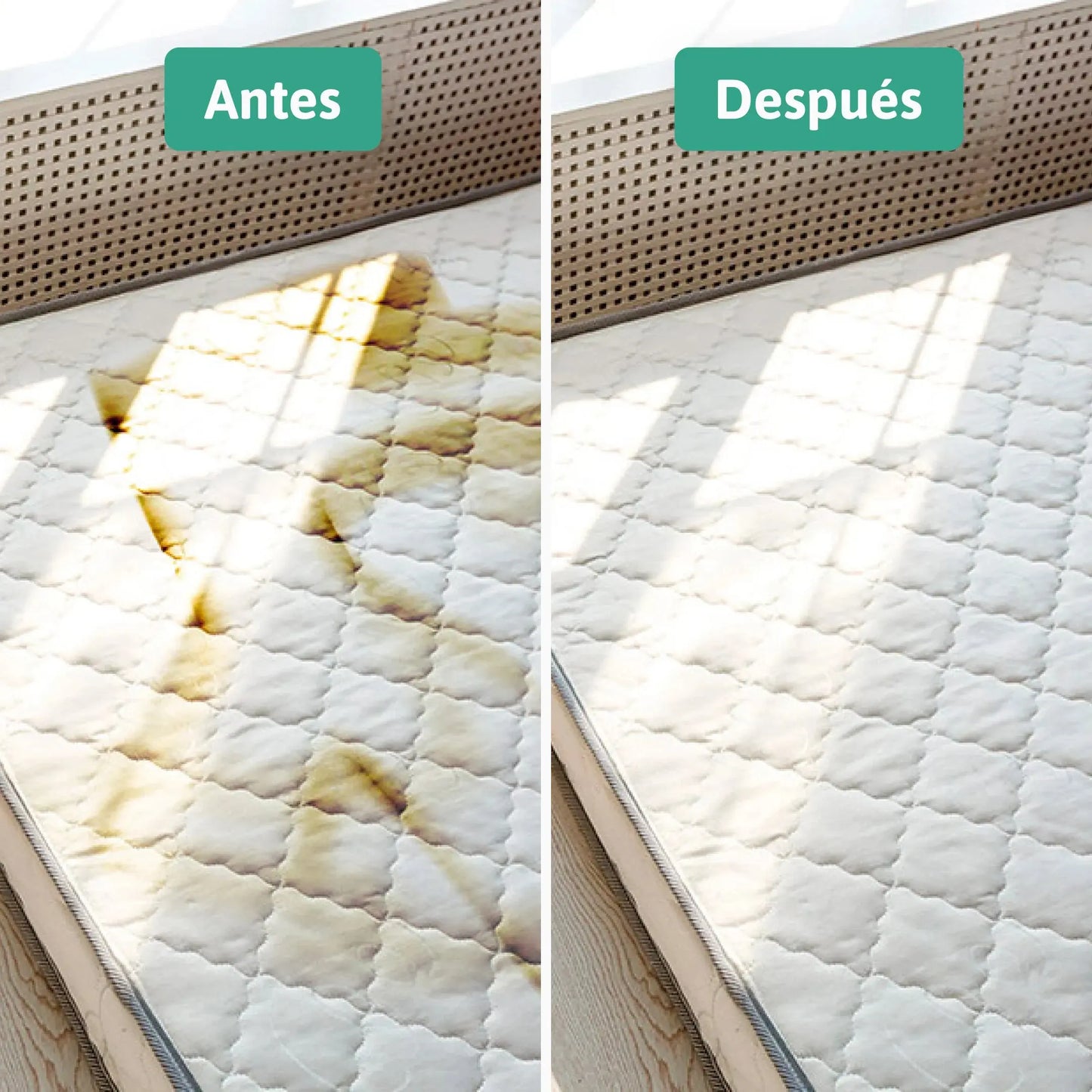 Smacchiatore a Secco - Terra di Sommières Natulim