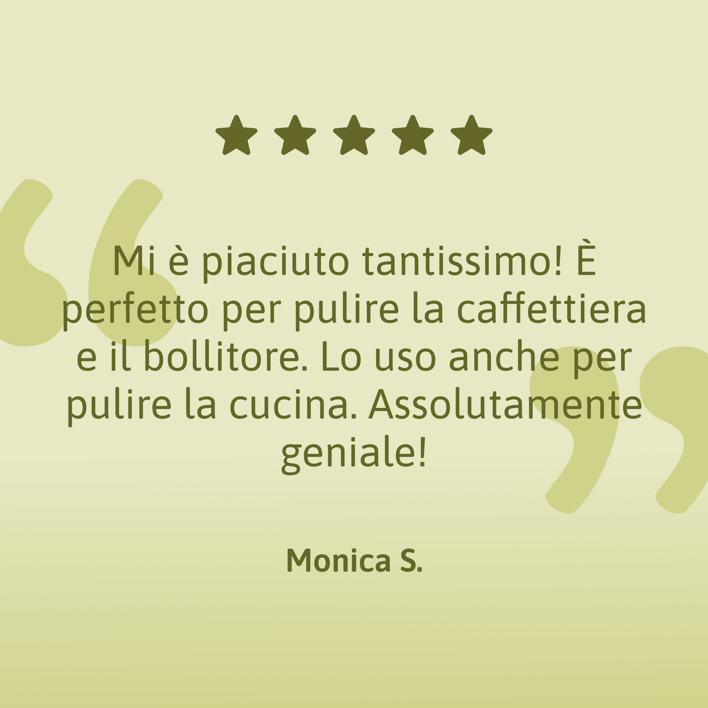 Acido Citrico (500g) - Detergente Multiuso