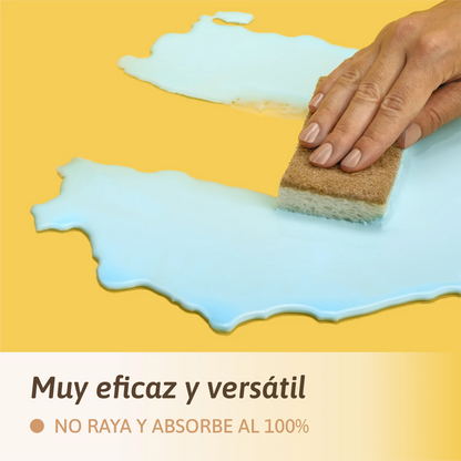 2 Spugne Vegane per Lavastoviglie Natulim