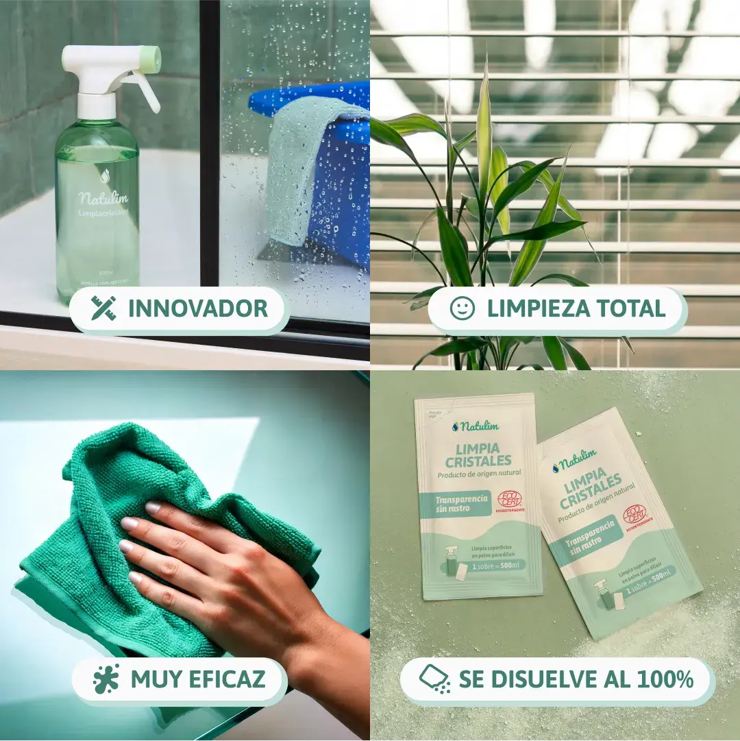 Ricariche Detergente Vetri Natulim