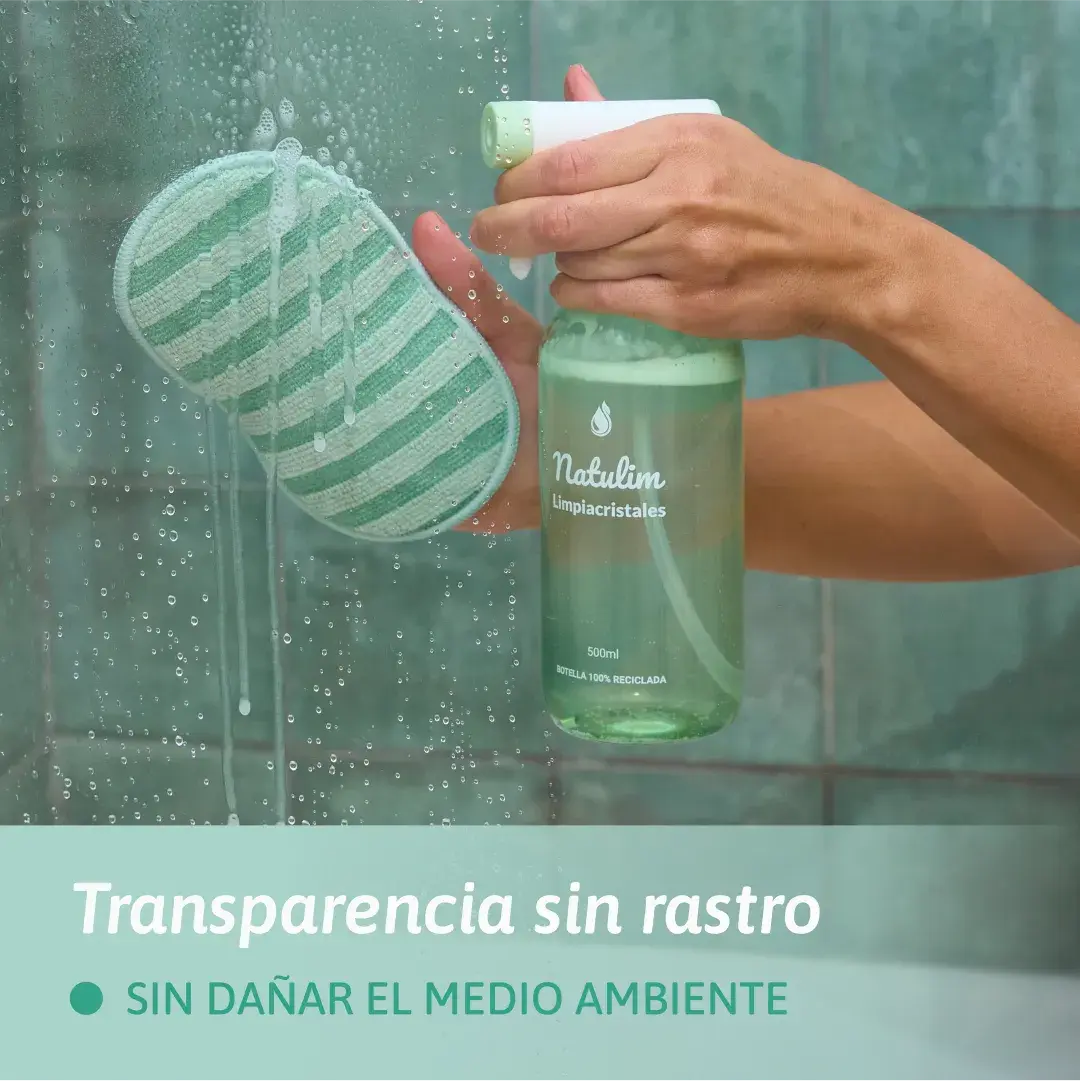 Ricariche Detergente Vetri Natulim